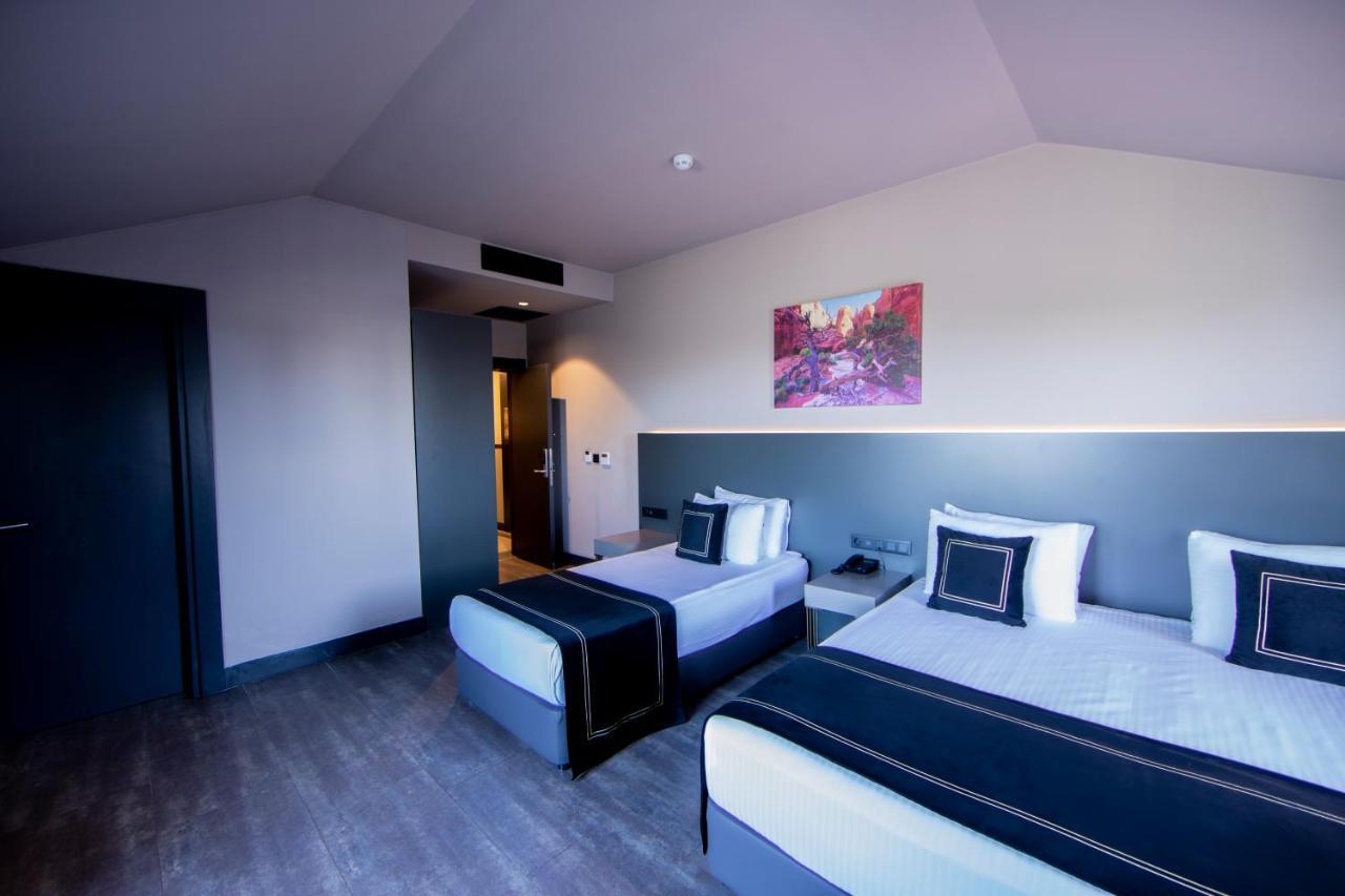 Menalo Hotel Premium Istanbul Airport Zewnętrze zdjęcie The photo shows a modern hotel room featuring two twin beds with stylish bedding. The walls are painted in neutral tones with a contrasting dark section behind the beds. There’s a piece of artwork hanging above the beds, depicting a colorful landscap